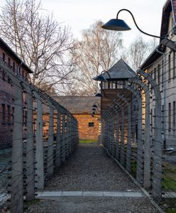 Historia KL Auschwitz-Birkenau. Co warto o niej wiedzieć?