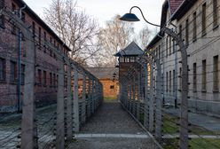 Historia KL Auschwitz-Birkenau. Co warto o niej wiedzieć?