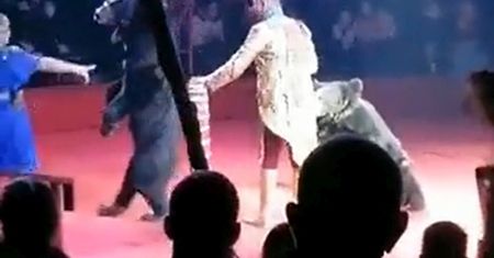 Trzy sekundy później rozpoczął się horror. Nagranie z rosyjskiego cyrku