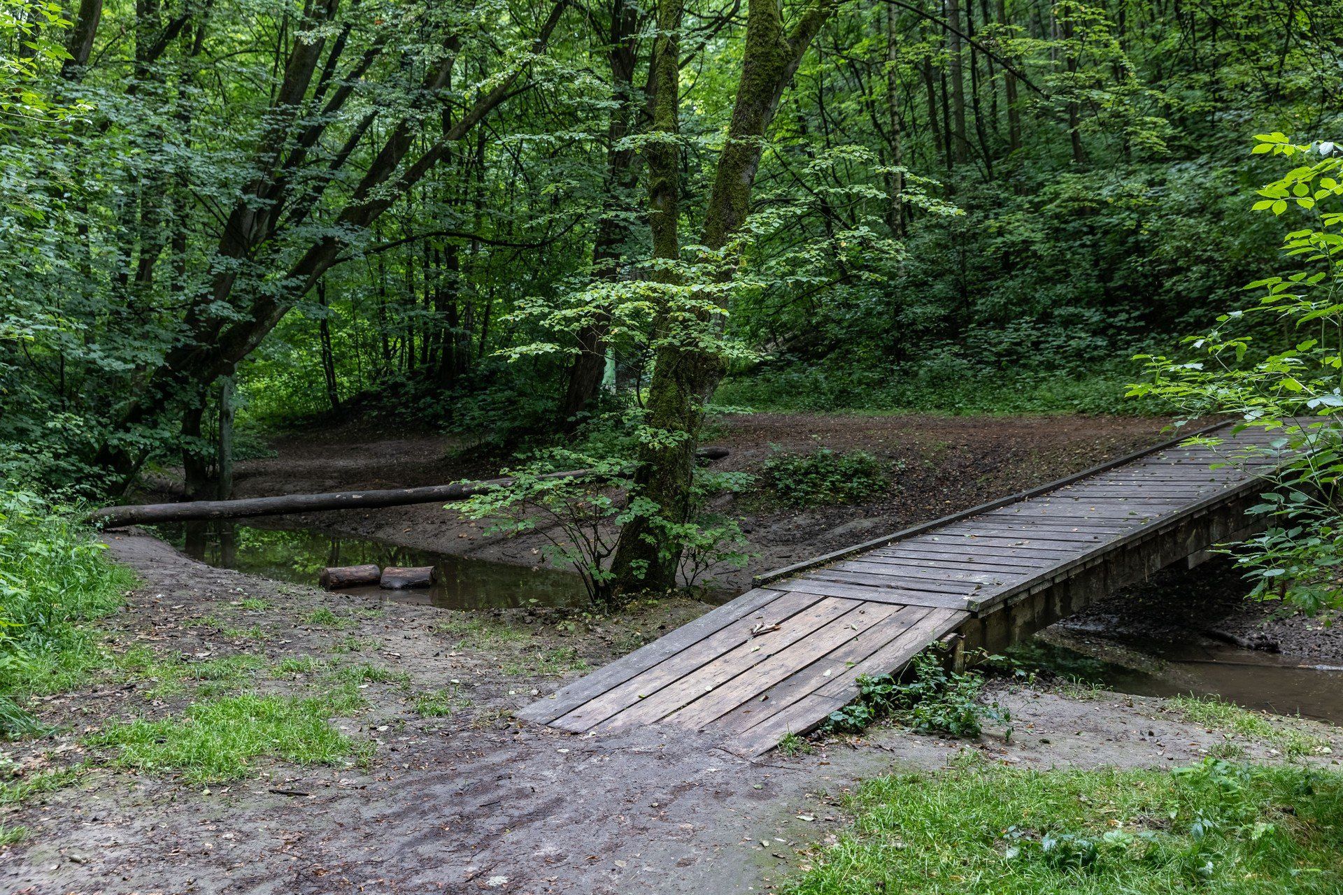 W Lesie Witkowickim na odwiedzających czekają m.in.: ścieżka przyrodnicza, naturalny plac zabaw, polana wypoczynkowa wyposażona w stoły piknikowe