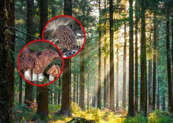 Sezon trwa w najlepsze. Pomyłka może mieć śmiertelne konsekwencje