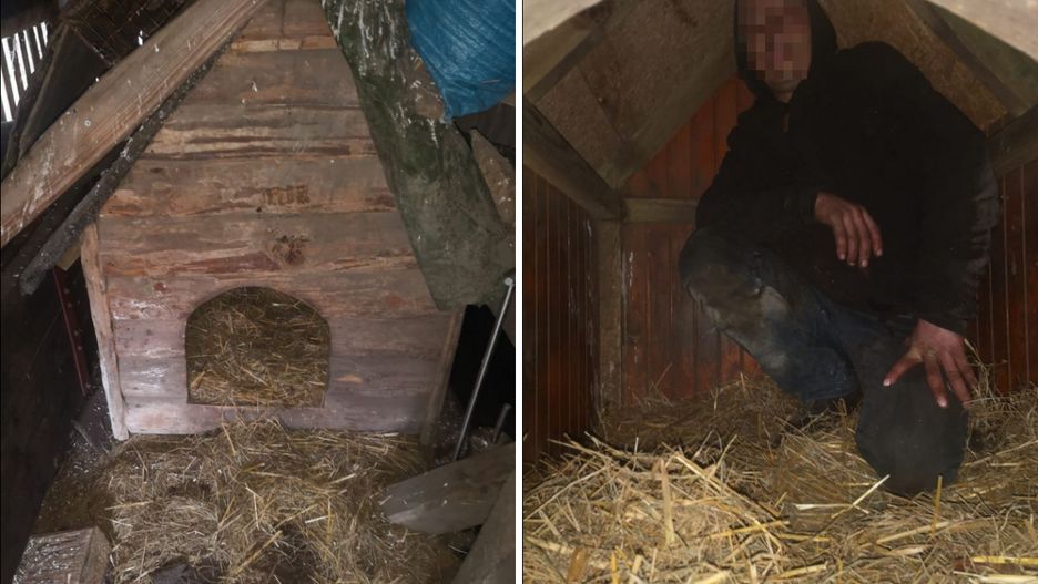 31-latek schował się przed policją w psiej budzie.
