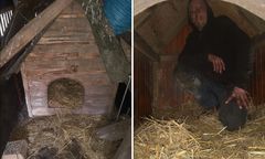 Z budy psa za kratki. Absurdalna historia z woj. świętokrzyskiego