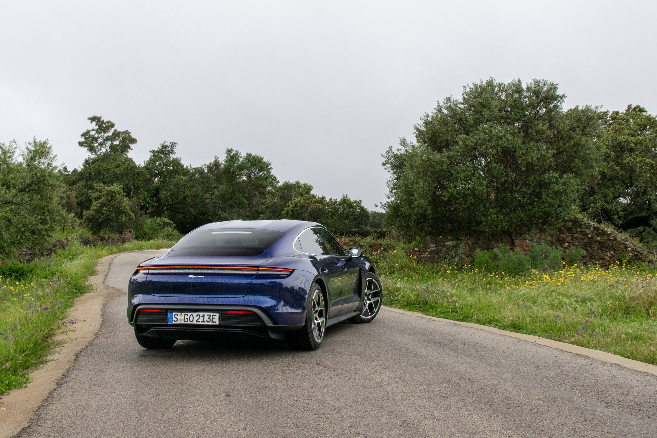 Porsche Taycan FL 2024