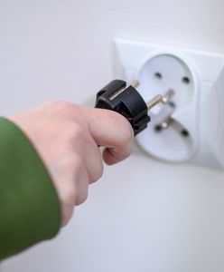 Nie tylko lodówka. Te trzy sprzęty podnoszą rachunki za prąd