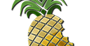 Jailbreak iPhone [firmware 3.0]