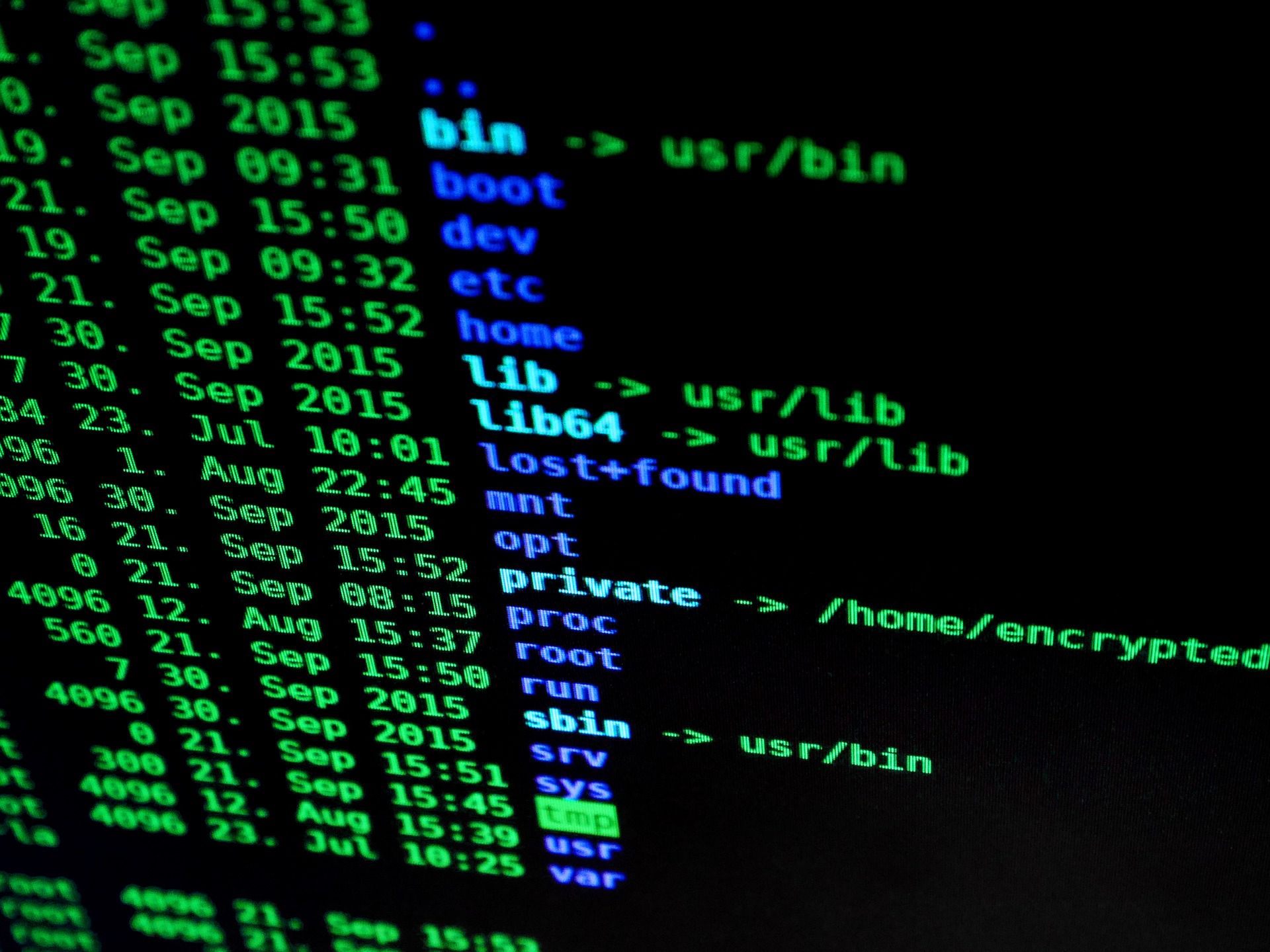 Seks mniej ważny od bezpieczeństwa online - uważa 39 proc. Amerykanów 3
