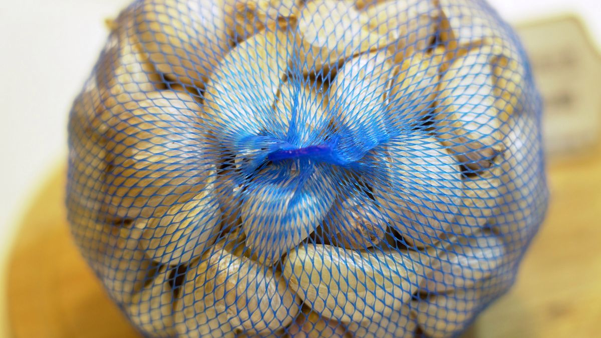 Czosnku nie wolno łączyć z paracetamolem