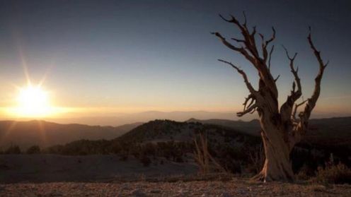 Coś na dobry początek tygodnia 1