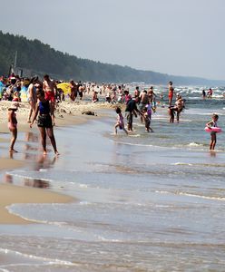 Bałtyk. Mięsożerne bakterie pojawiły się w wodzie. Kogo atakują?