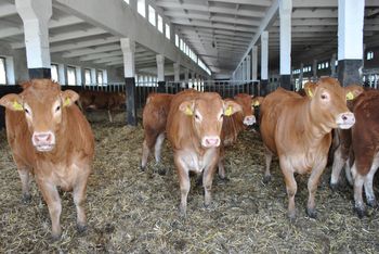 Większe wsparcie dla rolników. Resort: nawet do 300 tys. zł