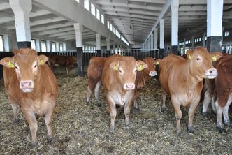 Większe wsparcie dla rolników. Resort: nawet do 300 tys. zł