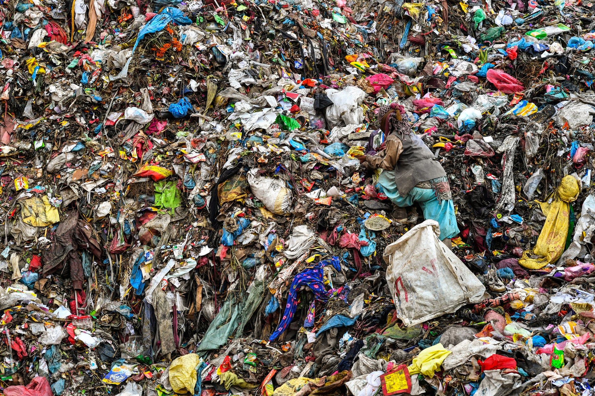 Enviromental Photography Of The Year 2019. Tak wygląda nasza planeta 14