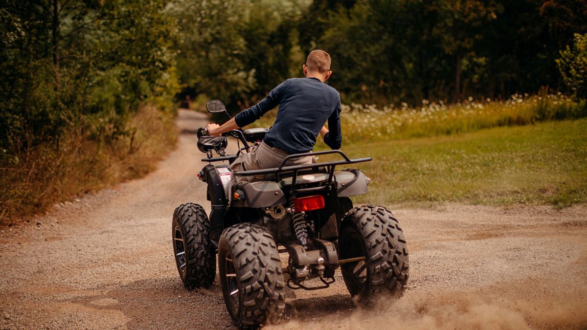 Quady są poważnym problemem w Zakopanem