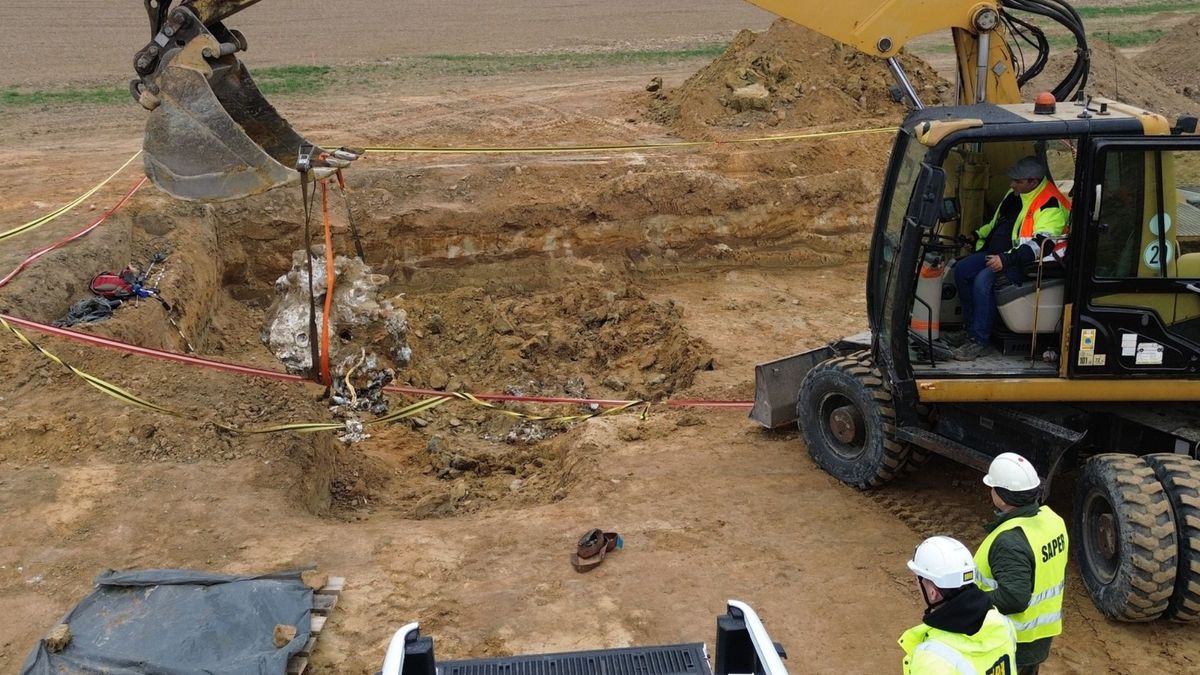 Niezwykłe odkrycie na S8