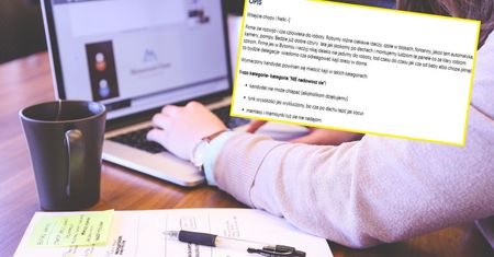Ta oferta pracy to hit. "Mamlasy i maminsynki się nie nadajom"