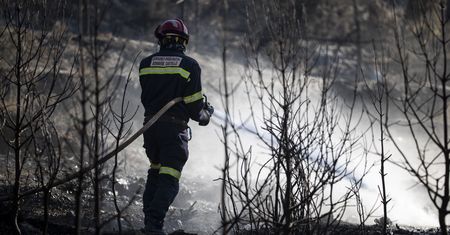 Hiszpania walczy z żywiołem. Pożar wymknął się spod kontroli
