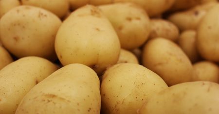 Ziemniaczana krzyżówka. Co wiesz, o tym popularnym warzywie?