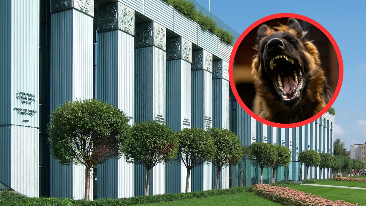 Obrona złożyła wniosek do Sądu Najwyższego