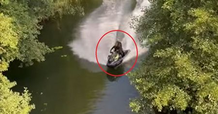 Patologia na rzece Piława? Nagranie pojawiło się w sieci