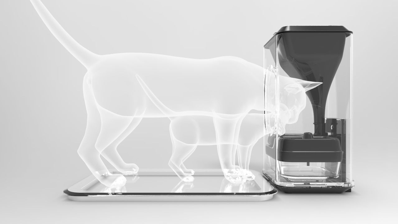 Bistro - inteligentne urządzenie do karmienia kotów 3