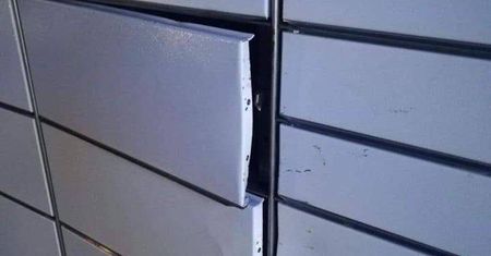 Pijana kobieta „dla zabawy” zamknęła psa w paczkomacie. Nie była w stanie wskazać skrytki