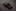 428095492745228204
