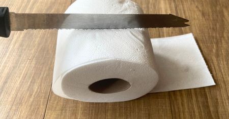 Przekrój rolkę papieru toaletowego na pół. Efekt na wagę złota