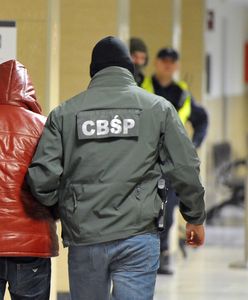 Laboratorium w kurniku. "Nawet 100 kg amfetaminy"