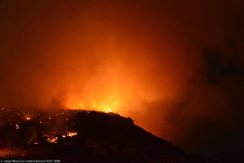 Tragiczny pożar w fabryce żywności w Trikali. Są ofiary