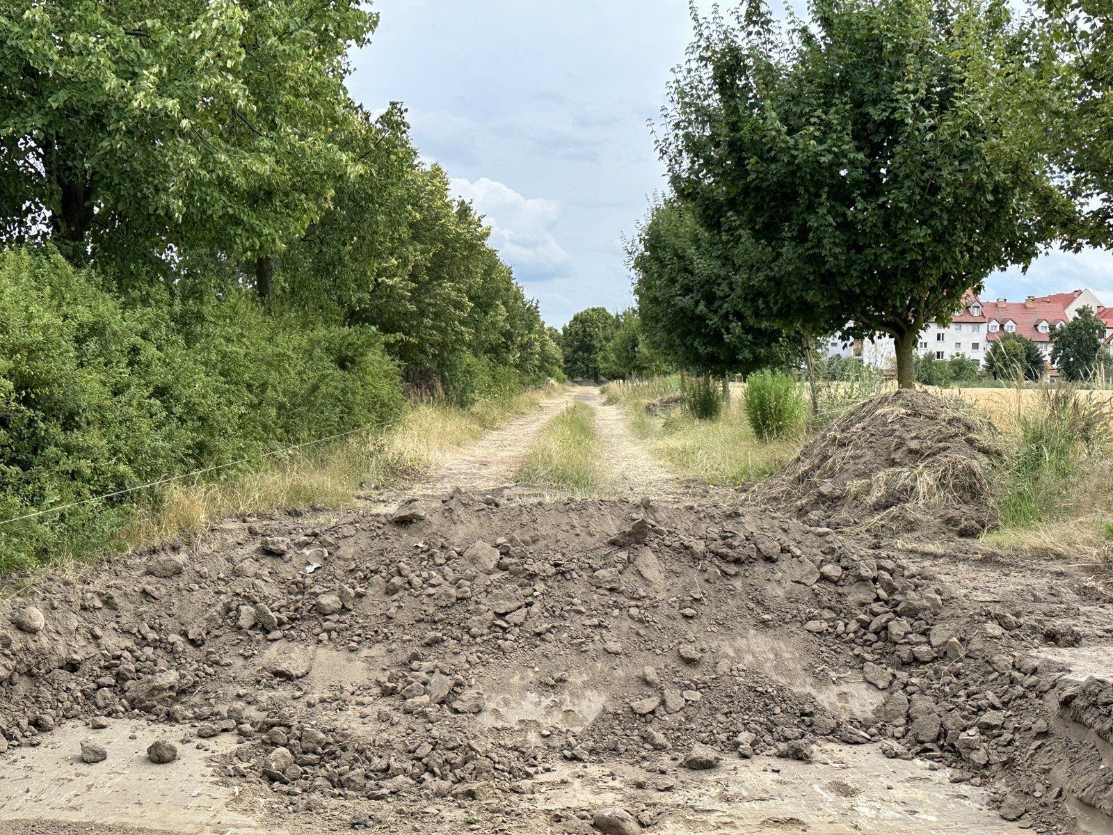 Budowa drogi dla rowerów w Lesznie