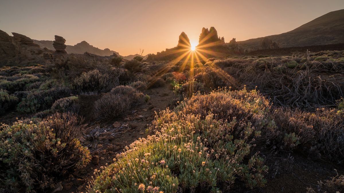 Jedno zdjęcie na każdy tydzień roku. Łukasz Rados ukończył projekt 52 1