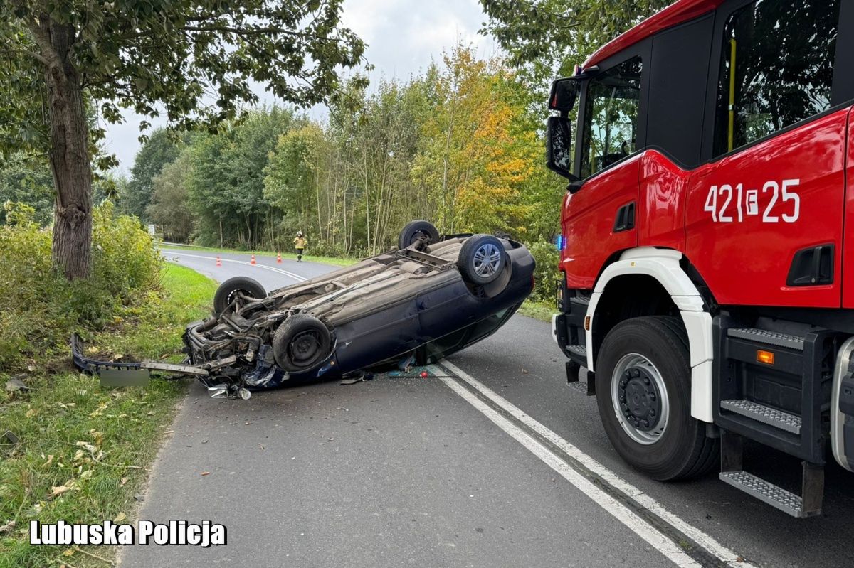 Lubuskie: Pijany 36-latek dachował samochodem