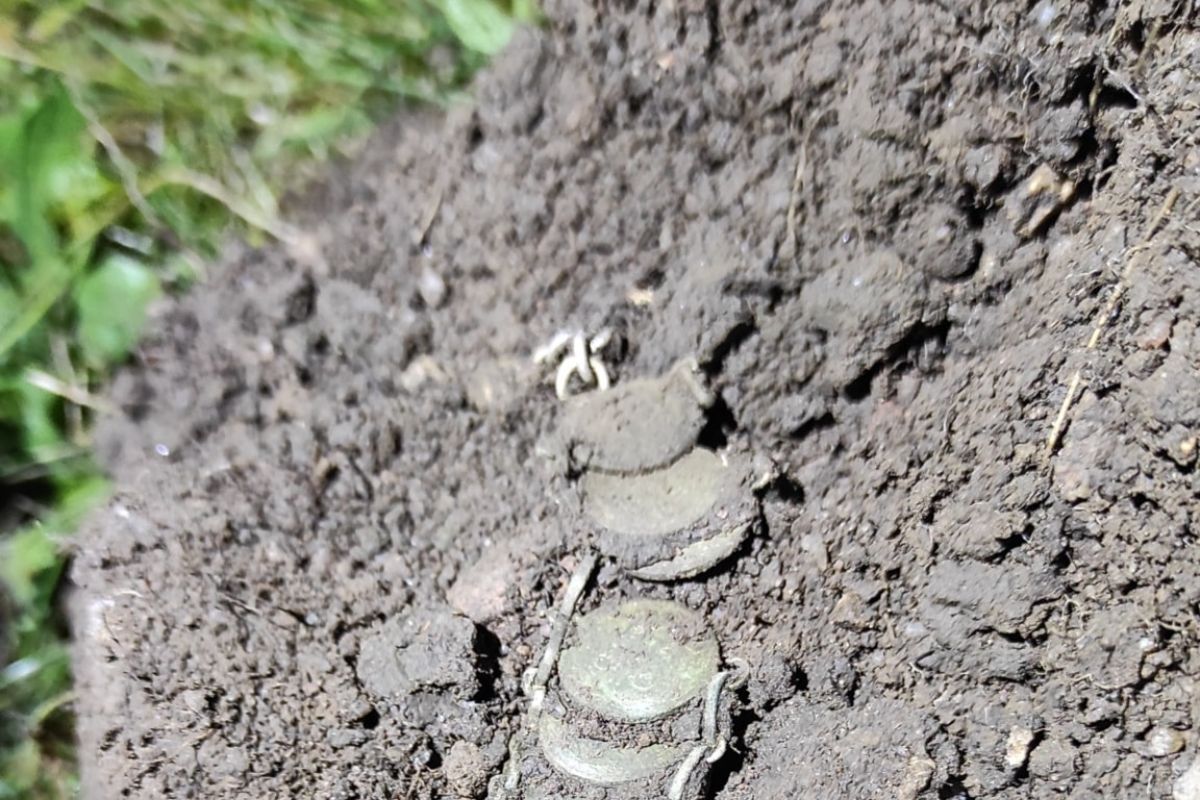 "Rozwalił system". Odkrycie wywołało ogromne poruszenie