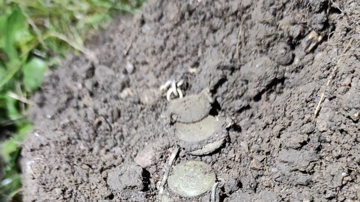 Znalazł bransoletę złożoną z carskich pół kopiejek.