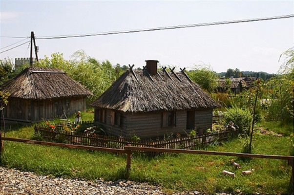 Obraz