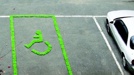 By wszędzie było zielono 1