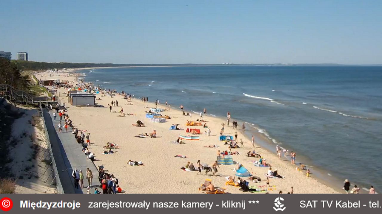 Już są. Kamera na plaży przyłapała ich z samego rana
