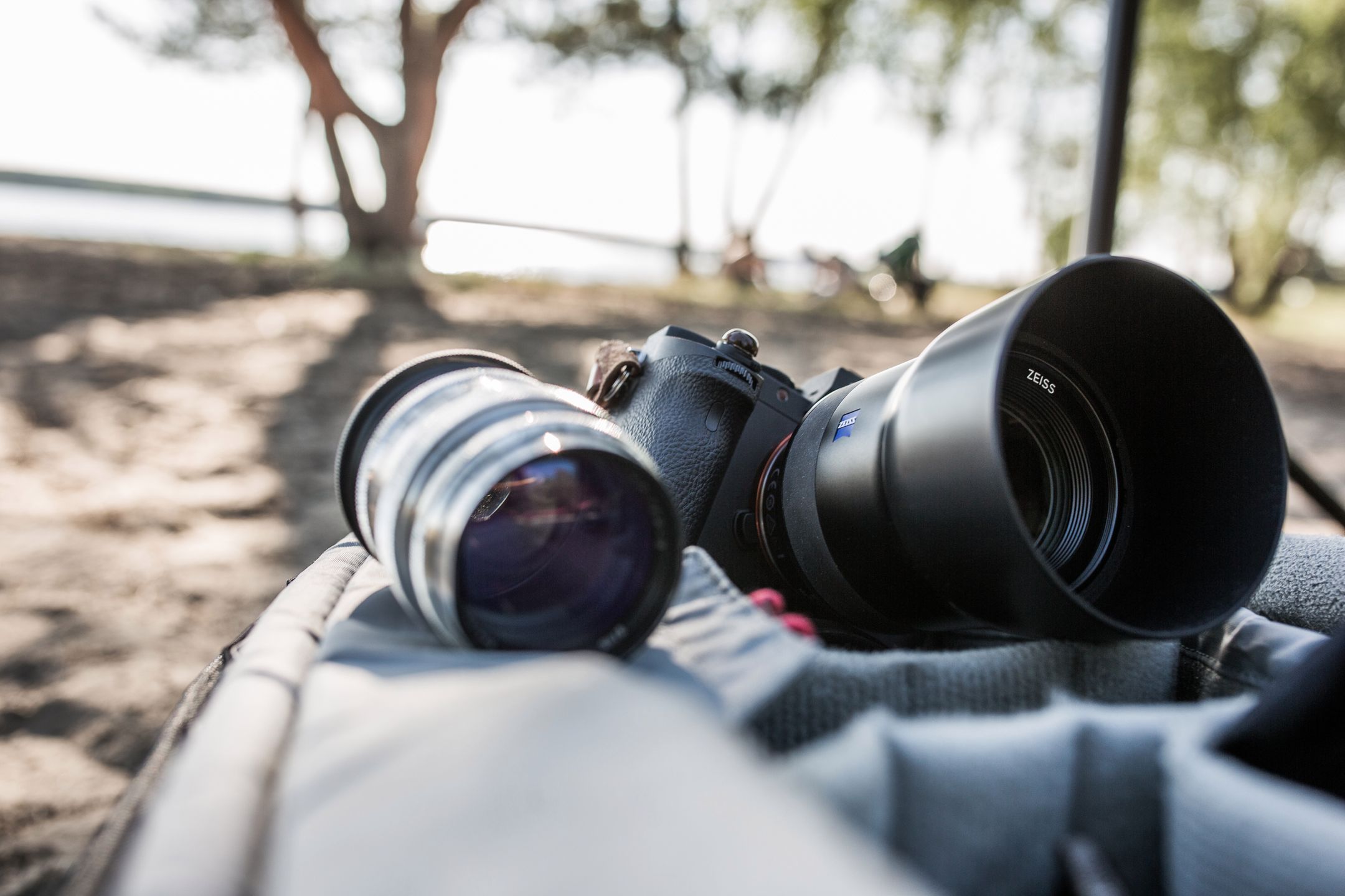 Zeiss Batis 85 mm f/1.8 za 5000 zł kontra Jupiter 9 85 mm f/2 za 400 zł - sprawdzamy czy 40-letni obiektyw pokaże magię sprzed lat 2