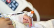 Koszmar 5-latki z Gniezna. Partner matki zatrzymany za pobicie dziecka