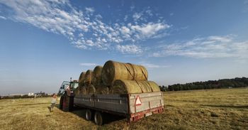 Błonia w Krakowie wykoszone, bele zwiezione. Trawa będzie rosła, aż miło. Jeśli tylko "góra" pozwoli