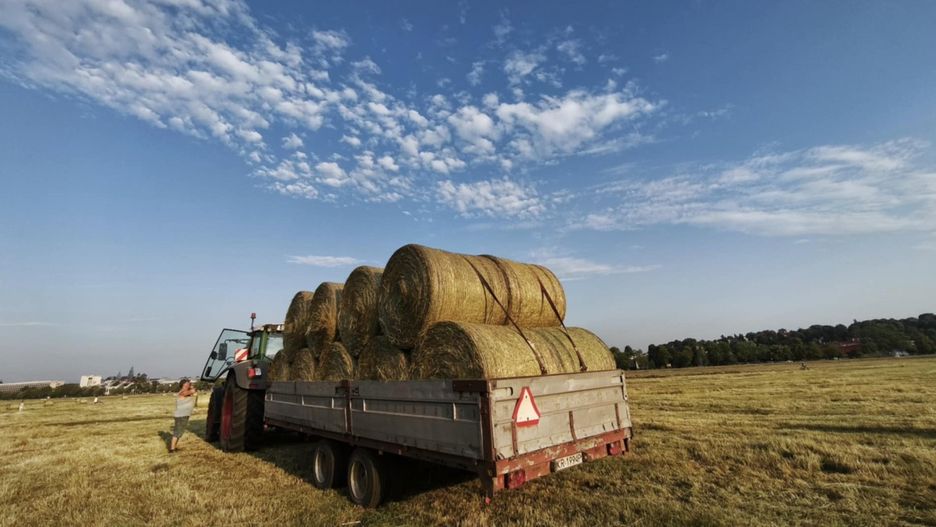 Krakowskie Błonia są jedną z największych w Europie łąk w centrum miasta.