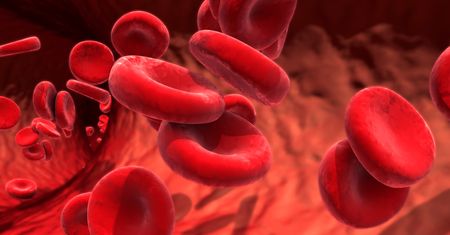 Erytropoetyna (EPO) – charakterystyka, produkcja, choroby, znaczenie w sporcie