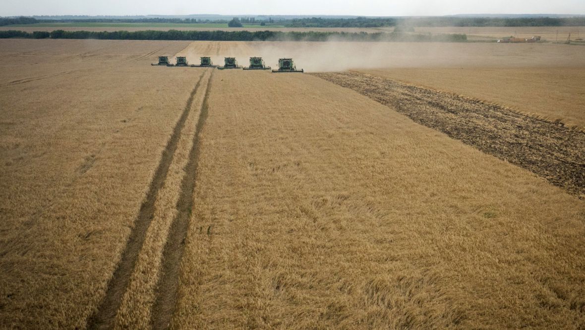 "Szarża" ukraińskich kombajnów w czasie żniw w 2014 roku. Może się okazać, że w tym roku na wielu obszarach nie będzie co zbierać