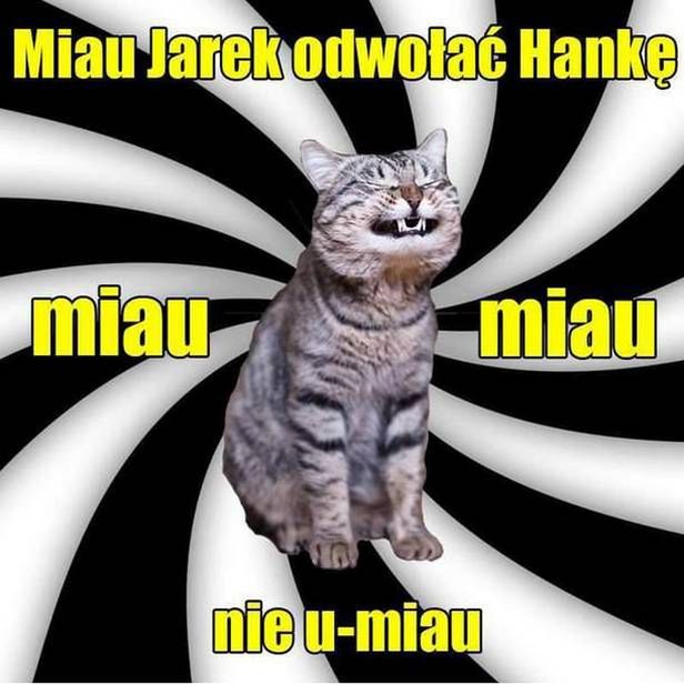 Najlepsze memy z Hanną Gronkiewicz-Waltz