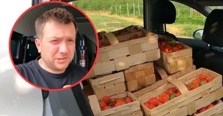 Cena truskawek w Kraśniku. "Gdzie jest szanowanie własnych interesów?"