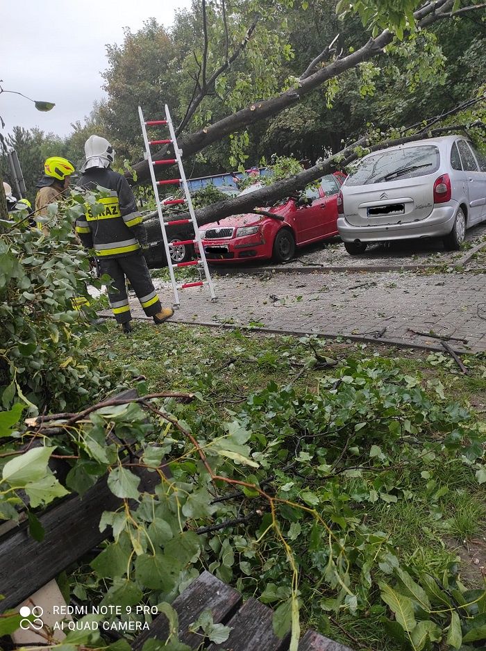 Drzewo upadło na zaparkowane samochody na ul. Szmaragdowej