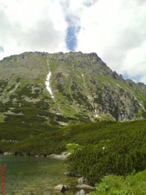 Obraz