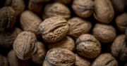 Sprawdzamy, co się stanie, jeśli codziennie zjesz garść orzechów (WIDEO)