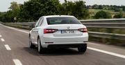 Nowa Škoda Superb 2.0 TDI (2015) - galeria testowa